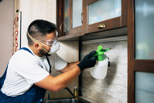 Reliable Herriman, UT Pest Control Solutions