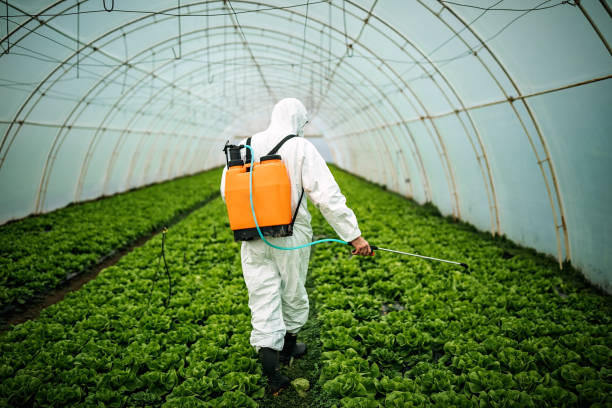 Best Mosquito Control Services  in Herriman, UT