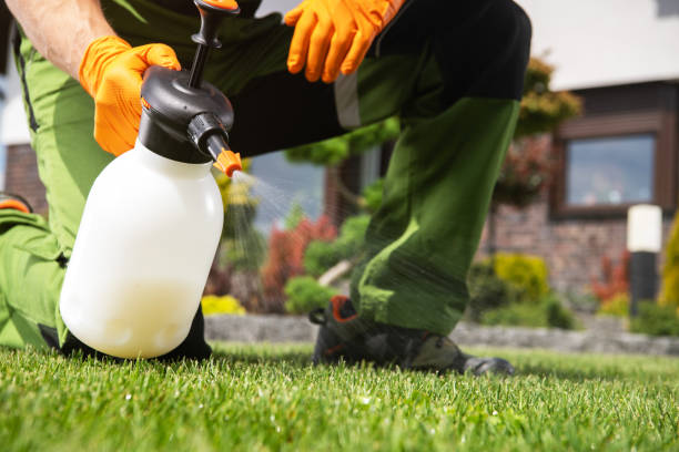 Pest Prevention Services in Herriman, UT