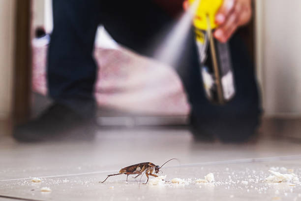 Best Ant Control Services  in Herriman, UT