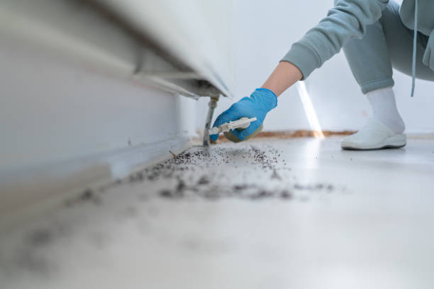 Best Pest Control Cost  in Herriman, UT